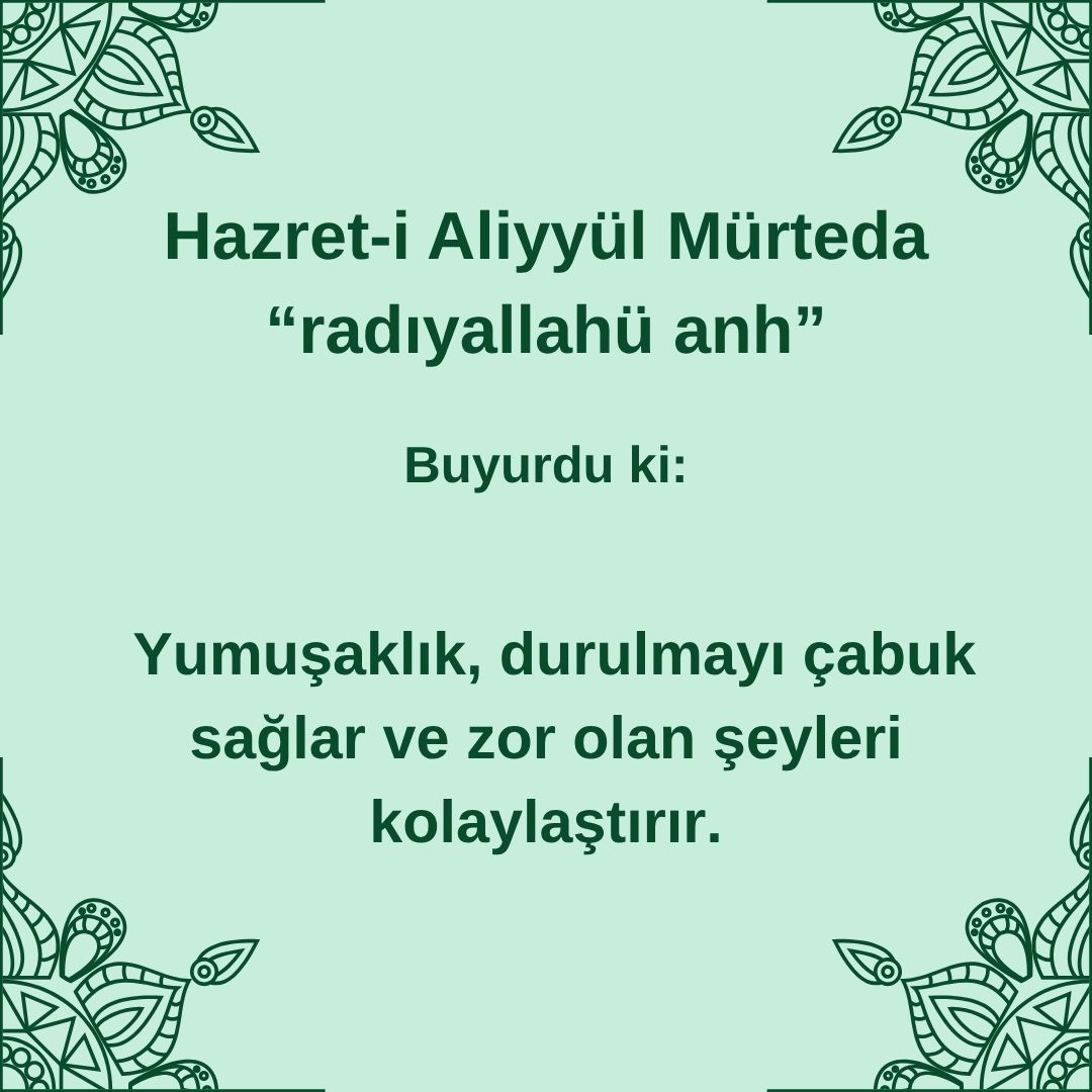 Aliyyül Mürteda (67)